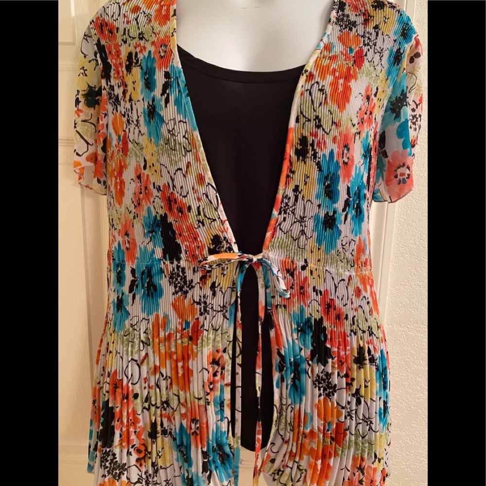 Cato Blouse